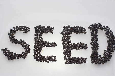 seedの写真素材