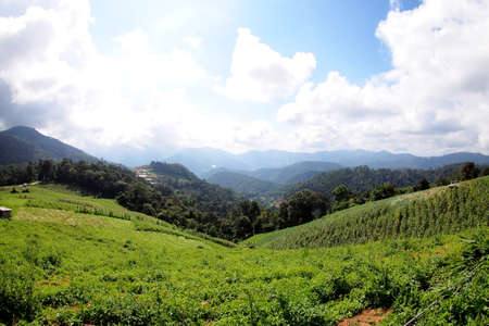 thailand scenic mountain landscape shot at Mountの写真素材