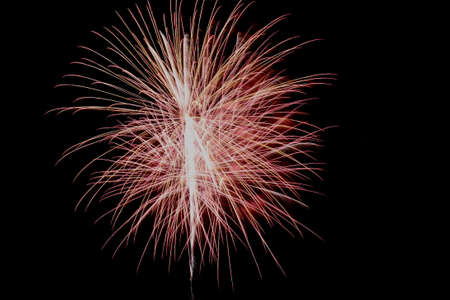 Colorful fireworks on the black sky