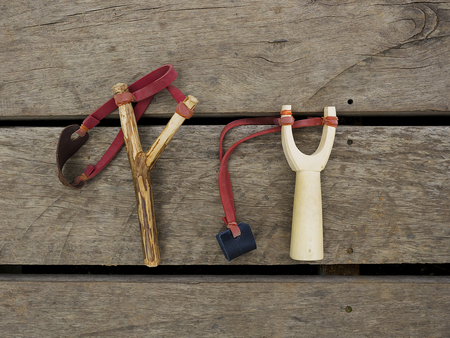 Catapult is a tool for  shooting seeds from highland to lower land forest.の写真素材