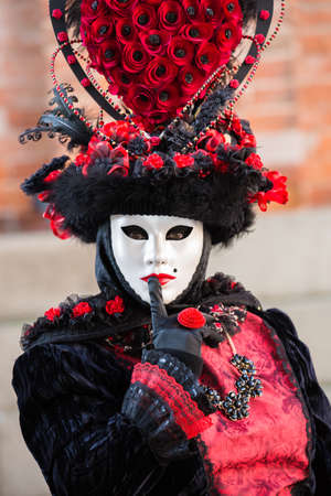 Mask at the Venice Carnival 2014の写真素材