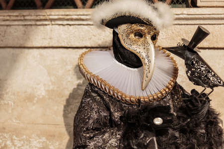 Mask at the Venice Carnival 2014の写真素材