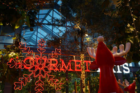 A photo of a Christmas garden held in a shopping mall.の写真素材