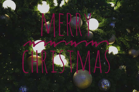 Christmas tree and lights theme wallpaperの写真素材