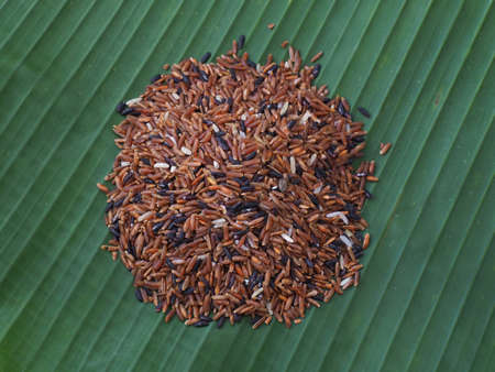 Red Jasmine Rice for eatingの写真素材