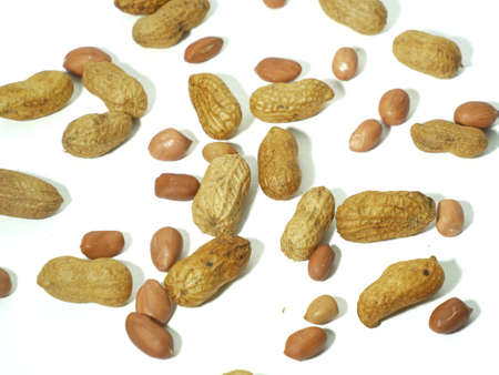 roasted peanuts for eating in white background