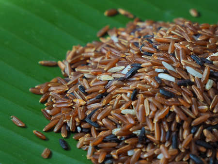 Red JasmiRed Jasmine Rice for eating ne Rice for eating