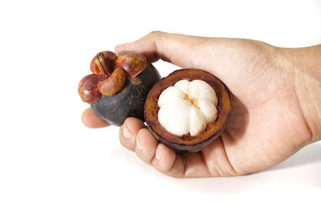 image of mangosteen on a white backgroundの写真素材