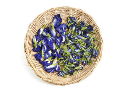 Photo of dried butterfly pea flowers used for tea.の写真素材