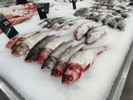 Pictures of fresh food and seafood in a supermarketの写真素材