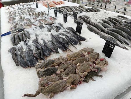 Pictures of fresh food and seafood in a supermarketの写真素材