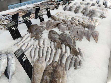 Pictures of fresh food and seafood in a supermarketの写真素材