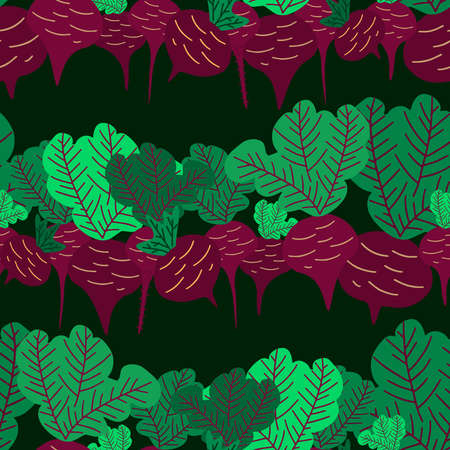 Vector seamless colorful pattern with eco friendly vegetable beetroot in lines.のイラスト素材