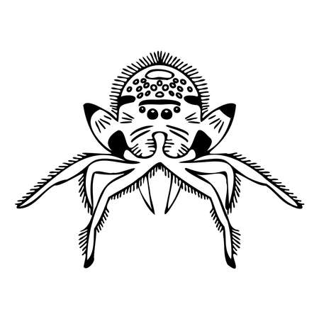 Isolated vector black and white design illustration of decorative ornamental lined spiderのイラスト素材