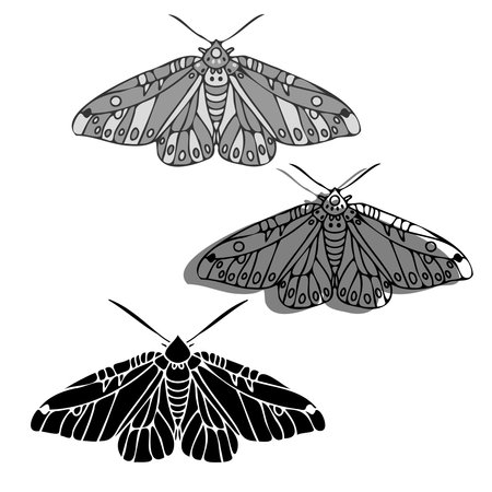 Abstract isolated vector black and white lined illustration design of butterflyのイラスト素材