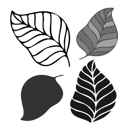 Isolated vector set of black and white leaves lined and silhouetteのイラスト素材