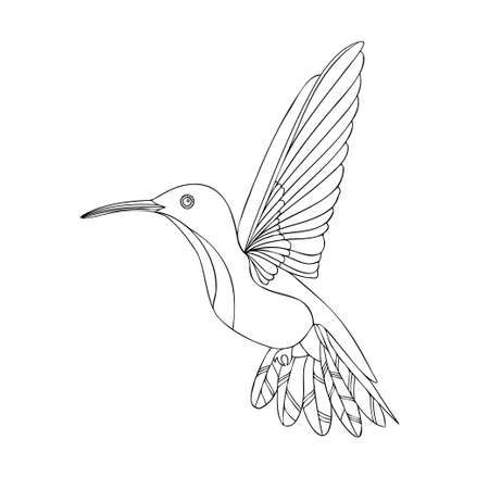Modern isolated vector black and white design tropical decorative cartoon hummingbird line artのイラスト素材