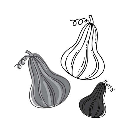 Isolated vector black and white illustration of decorative lined set of grey silhouettes of pumpkinsのイラスト素材