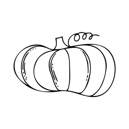 Isolated vector black and white illustration of decorative lined silhouette of pumpkinのイラスト素材