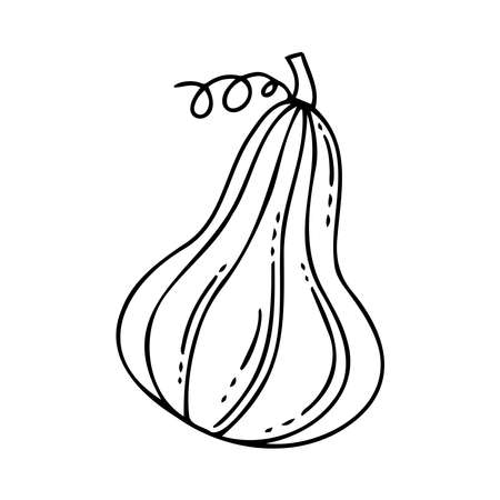 Isolated vector black and white illustration of decorative lined silhouette of pumpkinのイラスト素材