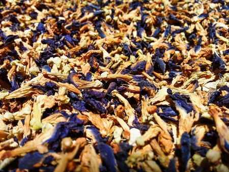 Butterfly pea flowerの素材