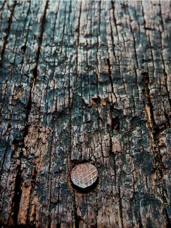 Wood textureの素材