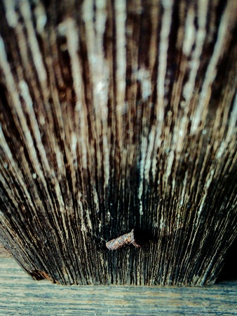 Wood textureの素材