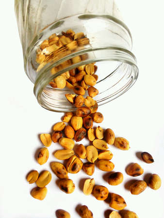 Dried peanutsの素材