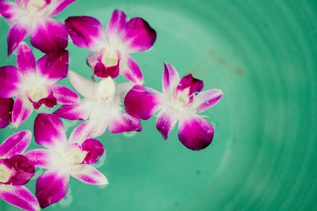 Orchids spa of local stytle