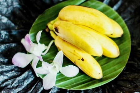 Banana and orchid oriental asia stytleの素材