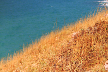 Sea shore and ocean blueの写真素材