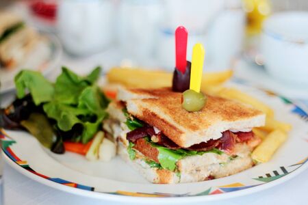 Cub sandwich on a green placeの写真素材