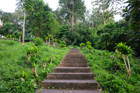 Stairs with fence in spring forest to hillsideの写真素材