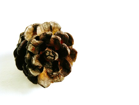 Pine cone with Christmas decorate isolated on white background. Santa star, golden ball, bell and...