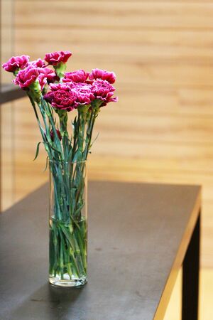 Pink Gerbera or Barberton daisy flowers in the glass vase decorate on the wooden table. Chrysanthemum blooming flower.の写真素材