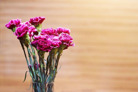 Pink Gerbera or Barberton daisy flowers in the glass vase decorate on the wooden table. Chrysanthemum blooming flower.の写真素材