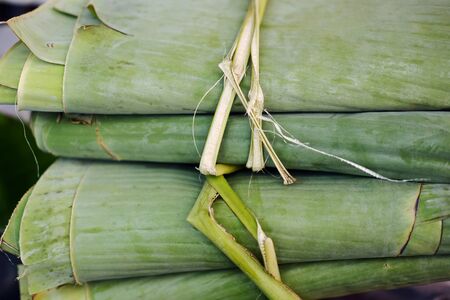 Wrapped green Banana leaf Tied with banana stick ropeの写真素材