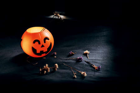 Halloween pumpkin head with dry flowers on black clothes in natural shadow and light. Halloween holiday concept.の写真素材