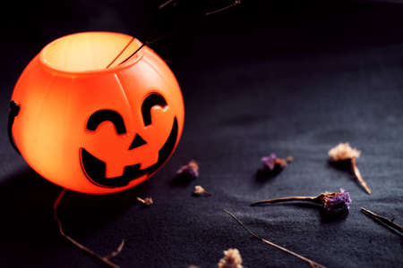 Halloween pumpkin head with dry flowers on black clothes in natural shadow and light. Halloween holiday concept.の写真素材