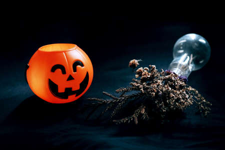 Halloween pumpkin head with dry flowers in vase glass on black clothes in natural shadow and light....