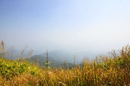 Golden dry grass on the valley mountain.の写真素材
