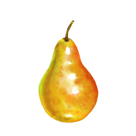 Watercolor and drawing for fresh green Pear on white background. Digital painting of fruits and vegetables illustration. Regional Foods Concept.の写真素材