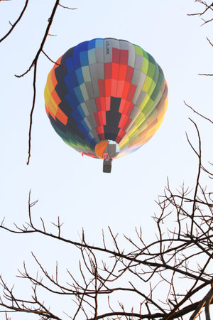 CHIANGRAI, THAILAND-FEBRUARY 14, 2016: Coloful Balloons free flying in the atmosphere with dry branch in Thailand International Balloon Festival at Singha Park Chiang Raiのeditorial素材