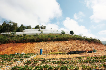 Water supply system in Strawberry Farm and Plant nursery in greenhouse on the mountain at northern...