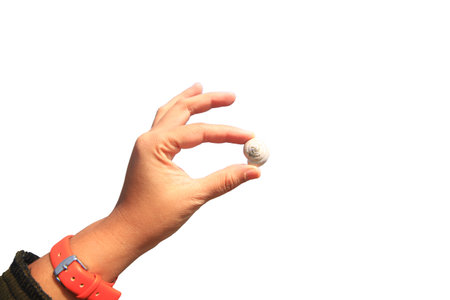 Asian woman Hand holding a snail or nautilus and shellfish isolate on white background.の写真素材