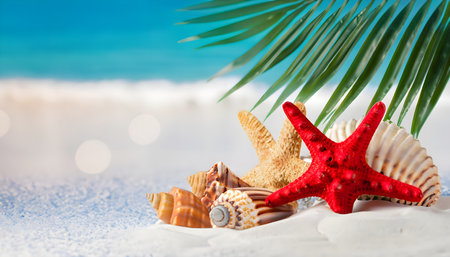 Seashells, red starfish and tropical palm leaf on the white sand with blurred beach blue ocean sea background. copy spaceの素材