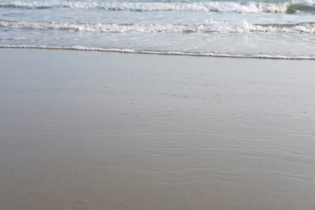 Sponge on sand and beach with sunlight and sunset in the sea of Thailand. Nature in summer and hopeful in life for vacation and holiday conceptの写真素材