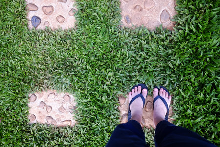 Top view of female feet wear sandals is standing on concrete walkway slabs on grass field decorated in tropical gardenの写真素材