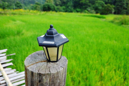 Vintage street lamp light on tree stump for decorated on wooden bridge for walking across agriculture field and greenery paddy rice terrace on hill in Thailandの写真素材