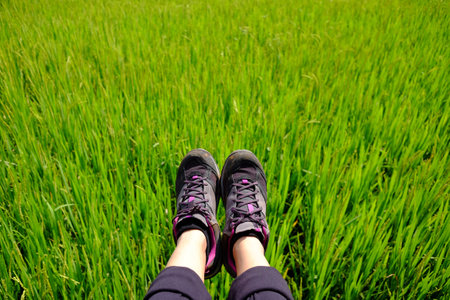 Selfie of woman feet and black sneaker with rice paddy field on mountainの写真素材